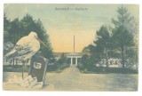 5142 - BUZIAS, Timis, Romania - old postcard - unused