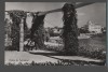 CPI B 11848 CARTE POSTALA - VEDERE DIN TECHIRGHIOL, RPR, Circulata, Fotografie