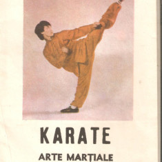 Karate-arte martiale 3