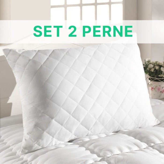 SET 2 PERNE HYPO - 50 X 70