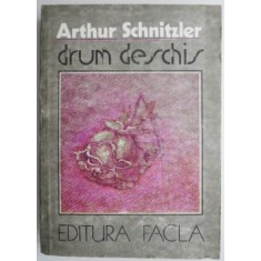 Drum deschis &ndash; Arthur Schnitzler