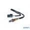 Sonda lambda Nissan Primera (2002-2006) [P12] #1