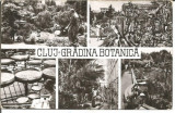 #carte postala-CLUJ- Gradina Botanica