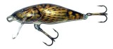 Vobler Salmo Bullhead BD6F, culoare BD, 6cm, 6g