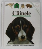CAINELE , PRIMELE MELE DESCOPERIRI , ilustratii de HENRI HALERON , 2008