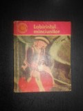 Gheorghe Marin - Labirintul minciunilor