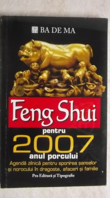 BA DE MA - Feng shui pentru 2007, anul porcului foto