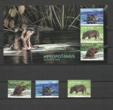 BOTSWANA 2023 FAUNA HIPOPOTAMI