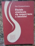 Dan Constantinescu - Efectele structurale ale curgerii lente a betonului