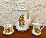 CAFETIERA, ZAHARNITA SI LETIERA DIN PORTELAN MITTERTEICH BAVARIA
