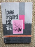ICOANA CRESTEREI RELE CU MIJLOACE DE A O FACE SI MAI REA de ANDREI MURASIANU , 1995