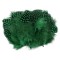 Set 20 pene decorative gaina, lungime 5-12 cm, Verde