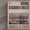 Desenul si acuarela engleza 4 de Radu Ionescu