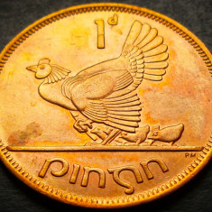 Moneda 1 PENNY / PINGIN - IRLANDA, anul 1968 * cod 5074 = UNC