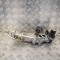Răcitor EGR VW PASSAT Variant B7 365 2012 OEM: 0280751016,03L131512C 10599960