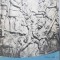 DICOMES. CICLUL DAC: II-ION NICOLAE BUCUR-268503