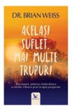 Acelasi suflet, mai multe trupuri - Dr. Brian Weiss