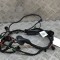 Cablaj ușă dreapta spate PORSCHE Taycan 2022 OEM: 9J1971693E,9J1.971.693.E 25082851