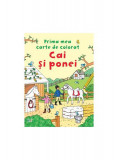 Cai și ponei - Paperback - Oana Neacșu - Litera mică