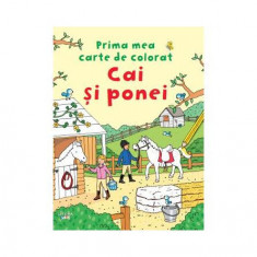 Cai și ponei - Paperback - Oana Neacșu - Litera mică