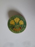 Insigna FDSN 1 an 1992-1993