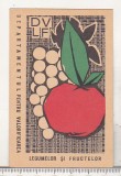 bnk cld Calendar de buzunar 1967 - DVLF