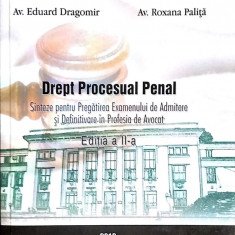 Drept procesual penal Sinteze pentru pregatirea examenului de admitere si definitivare in profesia de avocat