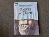ZMEURA DE CAMPIE, Roman impotriva memoriei de MIRCEA NEDELCIU GRAMAR