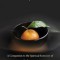 Finding God in All Things: A Companion to the Spiritual Exercises of St. Ignatius