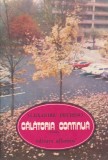 Roman Calatoria continua Alexandru Petrescu, Editura Albatros, 1984, Brosata, 13x20 cm, Limba Romana