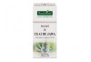 Tinctura Ceai de Jawa Plantextrakt, 120ml - Suport Renal, Eliminare Acid Uric, Detoxifiere, Diuretic Natural