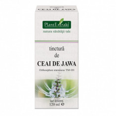 Extract Purificator de Ceai de Jawa - 120ml