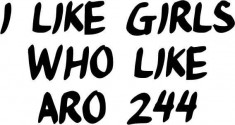 Sticker Auto I Like Girls Who Like Aro 244 foto