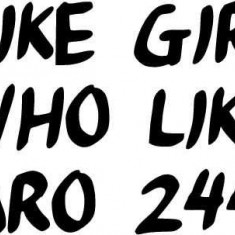 Sticker Auto I Like Girls Who Like Aro 244