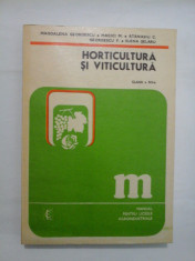 HORTICULTURA SI VITICULTURA - M. GEORGESCU; MACICI M.; ATANASIU C. GEORGESCU. F.; E. SELARU foto