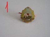 QW14 - Emblema militara - Comunism - Garzi patriotice - piesa de colectie