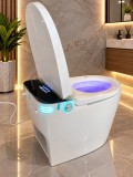 Wc smart inteligent funcții premium