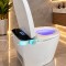 Wc smart inteligent funcții premium