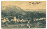-3710 - BAIA SPRIE, Maramures, Panorama, Romania - old postcard - unused