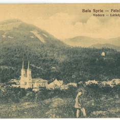 -3710 - BAIA SPRIE, Maramures, Panorama, Romania - old postcard - unused