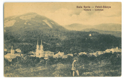 -3710 - BAIA SPRIE, Maramures, Panorama, Romania - old postcard - unused foto