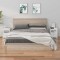 vidaXL Noptiere, 2 buc., alb, 40x35x49 cm, lemn masiv de pin 813712
