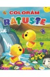 Coloram Ratuste