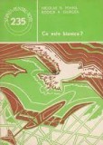 Nicolae N. Mihail - Ce este bionica ?