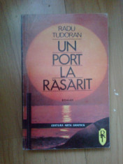 e2 UN PORT LA RASARIT - RADU TUDORAN foto