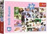 PUZZLE TREFL 60 O LUME A PISICILOR SuperHeroes ToysZone