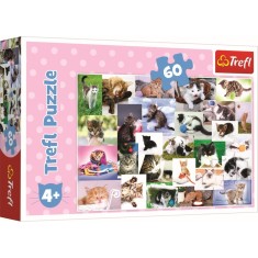 PUZZLE TREFL 60 O LUME A PISICILOR