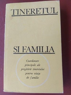 Tineretul si familia Petre Barbulescu