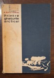 Cumpara ieftin Printre ghețurile arcticei &ndash; Konstantin Badighin, Editura Ştiinţifică 1962