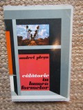 CALATORIE IN LUMEA FORMELOR de ANDREI PLESU , 1974